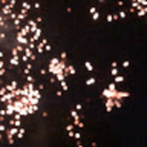 Meet your Posher, A l l i e